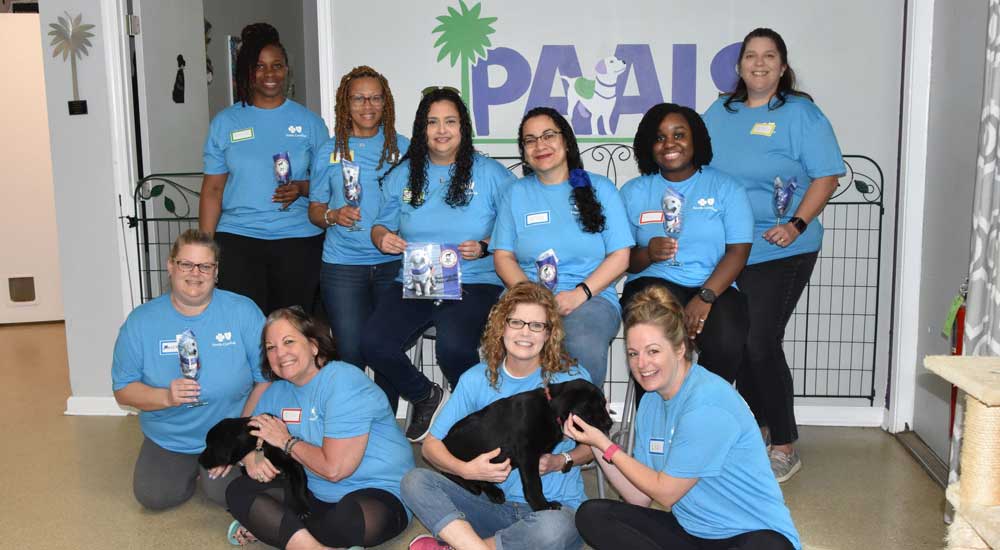 Group of employees in blue shirts with puppies at organization