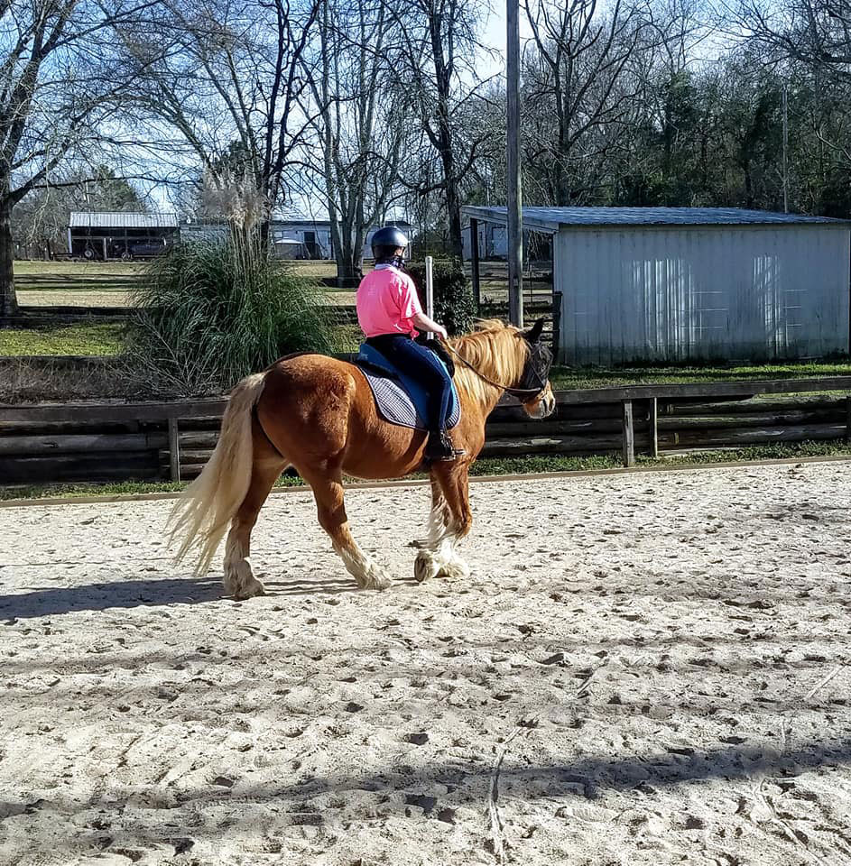 person riding a horse around small paddock