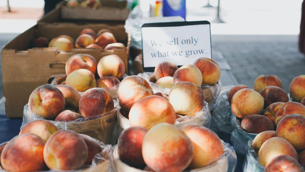 Fresh peaches in baskets at farmers market