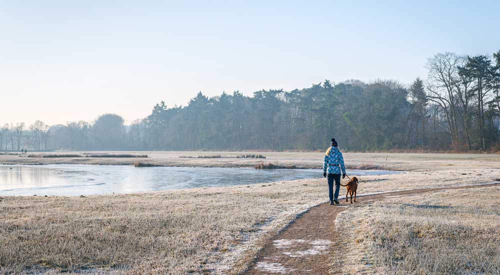 person in coat walking beside pond with dog