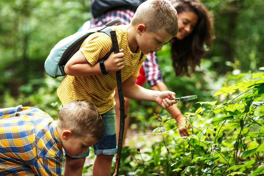 two little boys looking at plants on trail with mother