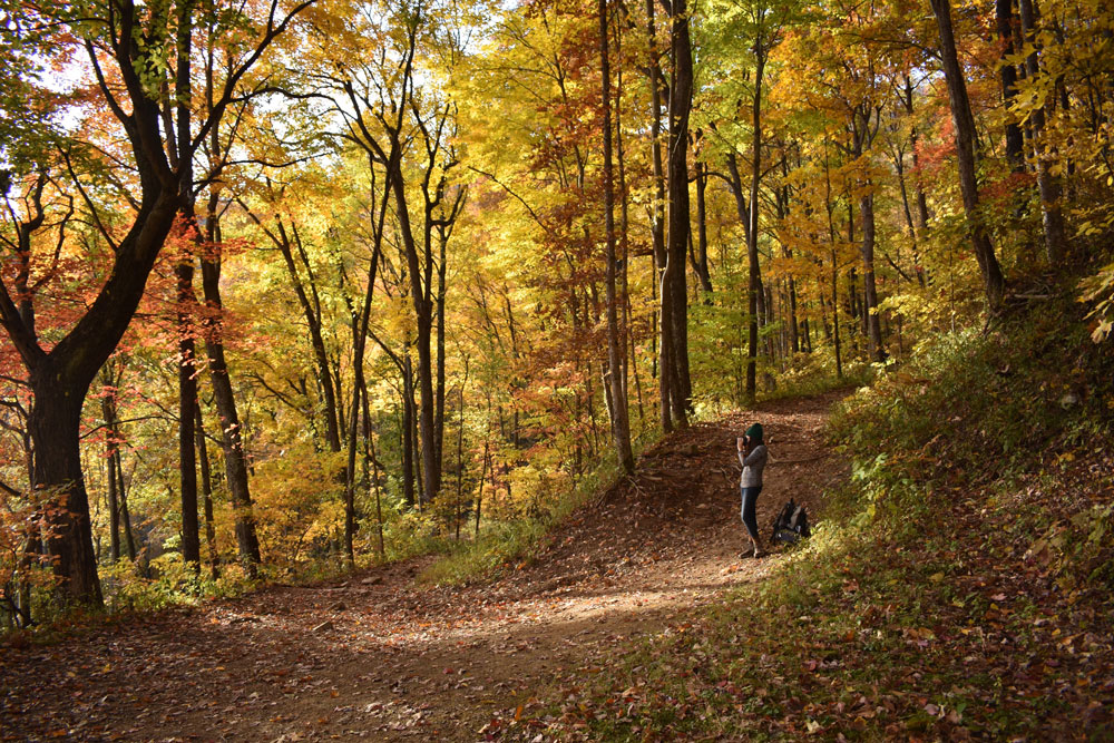 woman hiking on mountain in fall foilage 