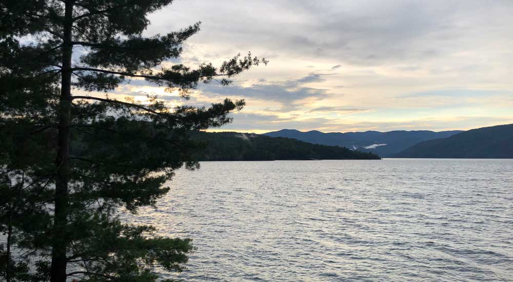 tree beside lake with mountains in background