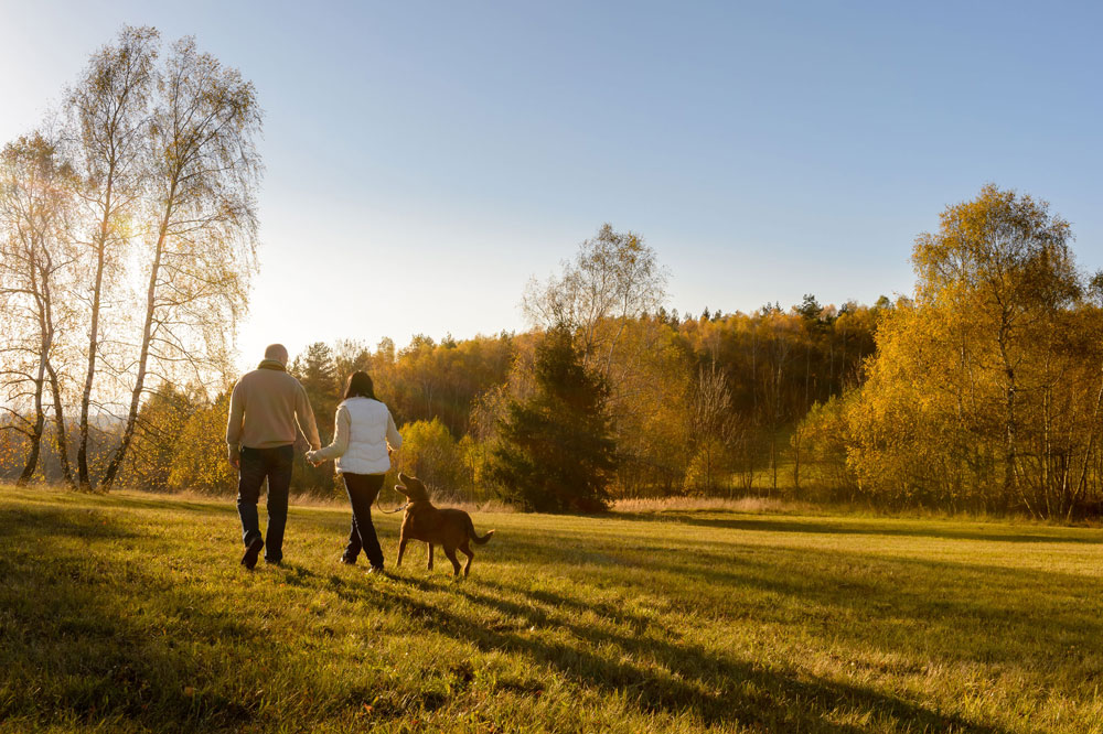 Two people walk across an open field with woods in the background. They are followed by a medium brown dog.